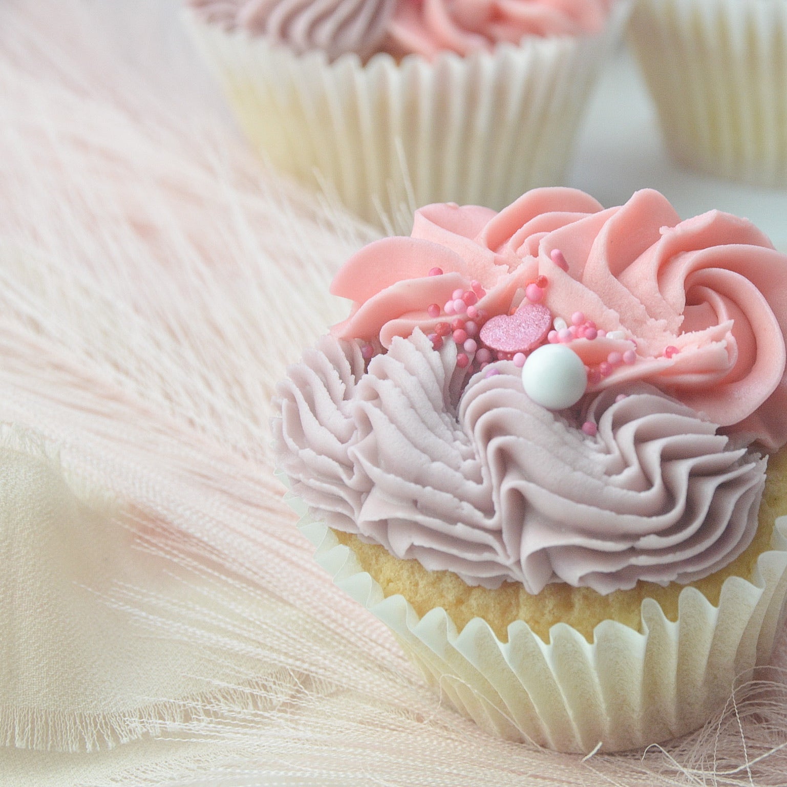 Cupcake Box