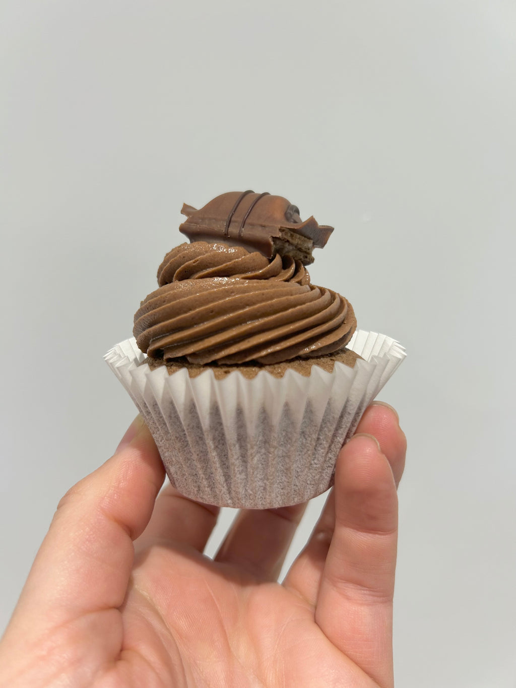 Stuffed Cupcake Box - You Make My Dreams