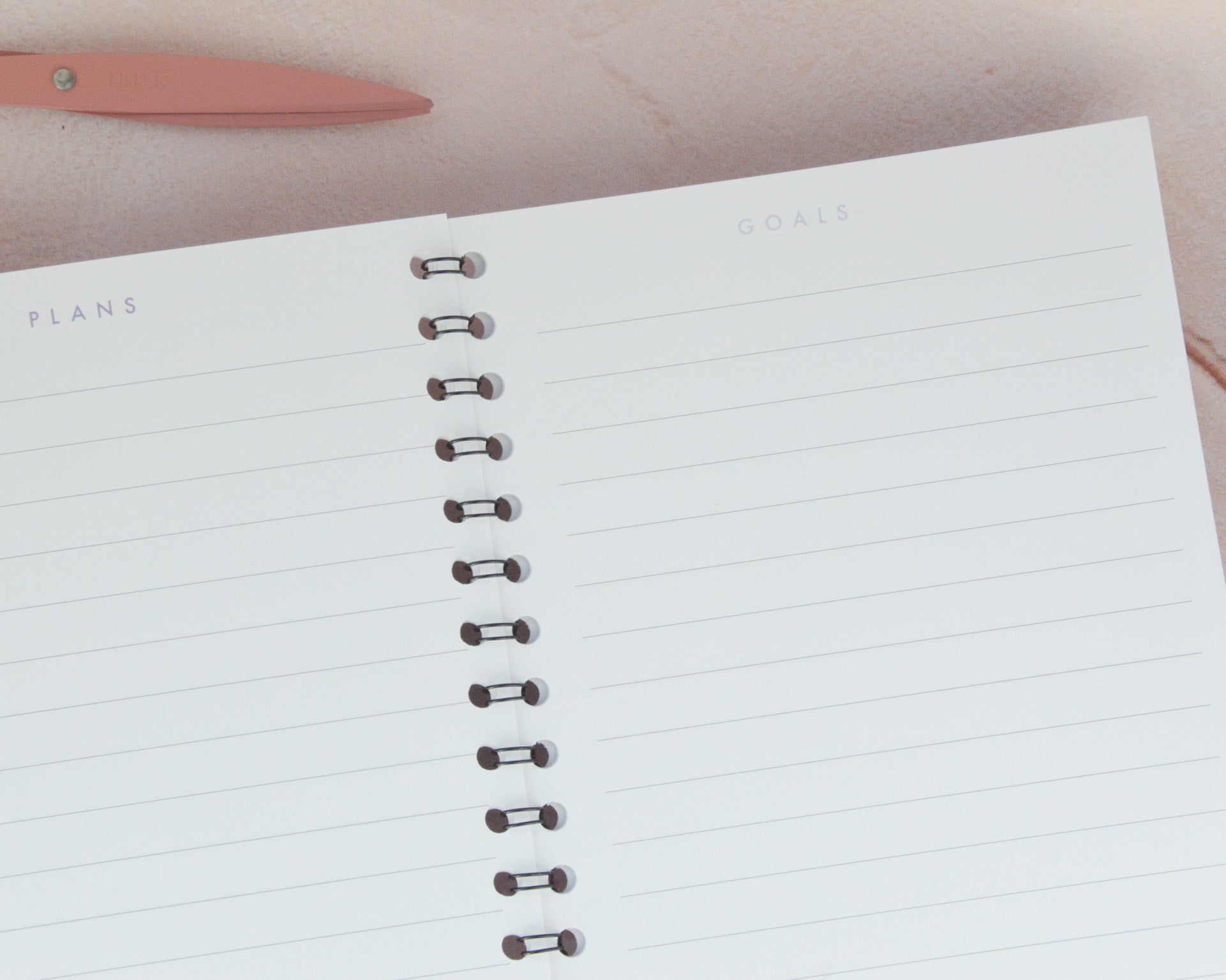 A5 Dalmatian Print Notebook - You Make My Dreams