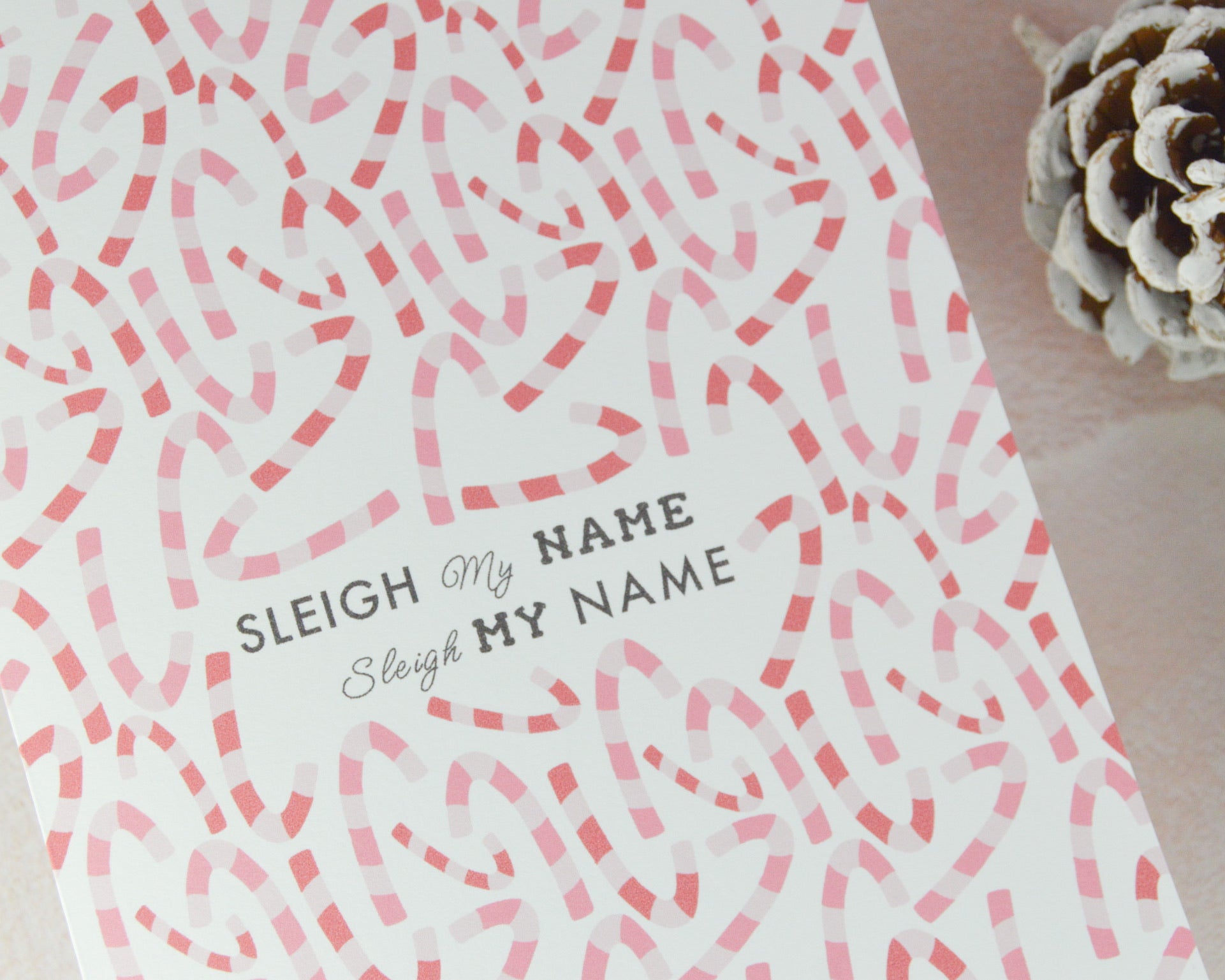 Sleigh My Name Card