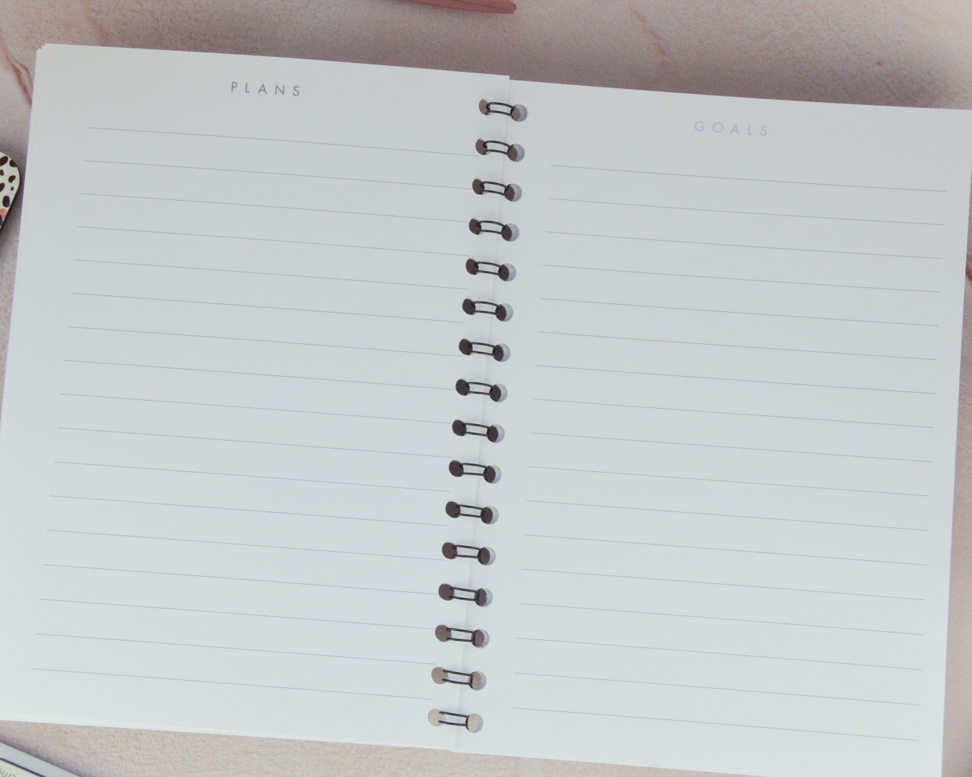 A5 Dalmatian Print Notebook - You Make My Dreams